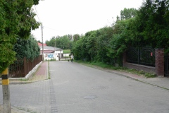 Krzywa_012