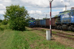 P1190503