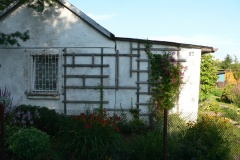 P1190413