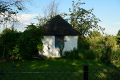 P1190422