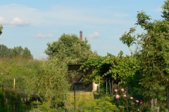 P1190423
