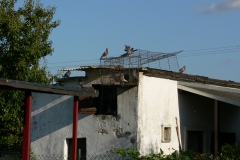 P1190426