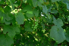 P1190430