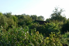 P1190433