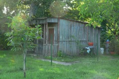 P1190434