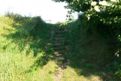 P1190435