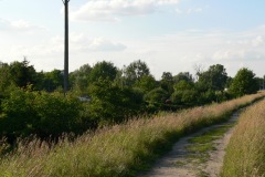 P1190437