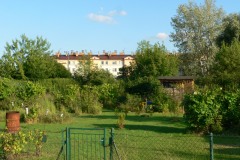 P1190465