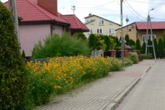 P1190606