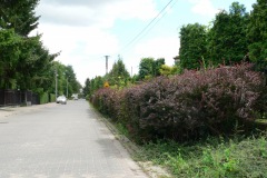 P1190610