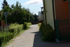 P1190778