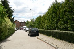 P1190635