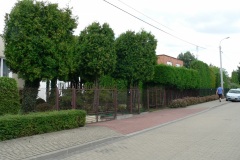 P1190588