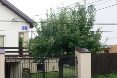 P1190589