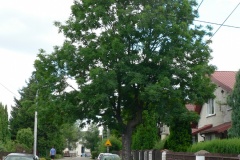 P1190591