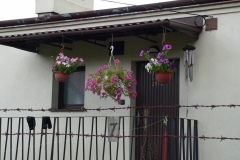 P1190595
