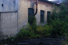 DSCF8846