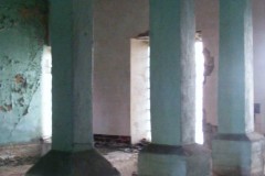 DSCF8850