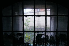 DSCF8851