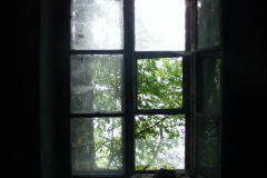 DSCF8855