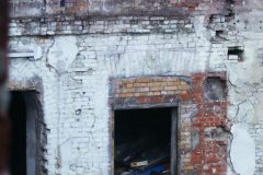 DSCF8876