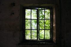 DSCF8899