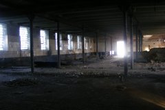 DSCF8901
