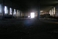 DSCF8902