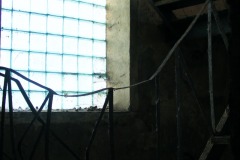 DSCF8930
