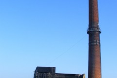 DSCF8956