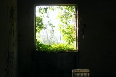 DSCF8960