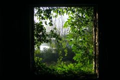DSCF8963