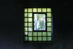 DSCF8985