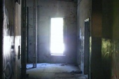 DSCF8995