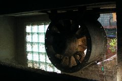 DSCF9135