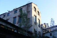 DSCF9319