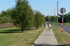 P1200484