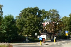 P1200515