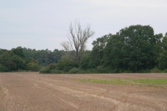 P1200859