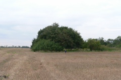 P1200866