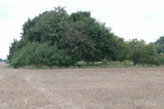 P1200903