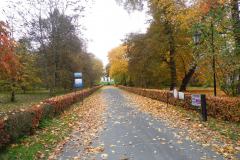 SAM_0614