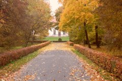 SAM_0619