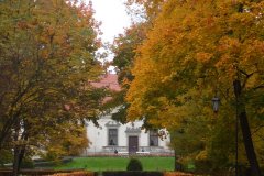 SAM_0622