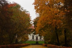 SAM_0623