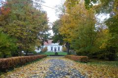 SAM_0627