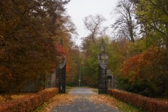 SAM_0629