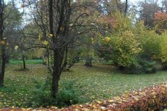 SAM_0633