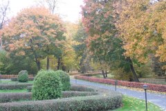 SAM_0649