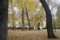 SAM_0661